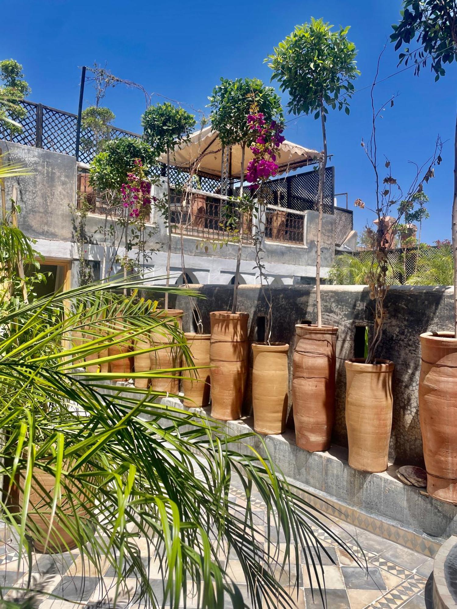 Riad Green Palm マラケシュ エクステリア 写真