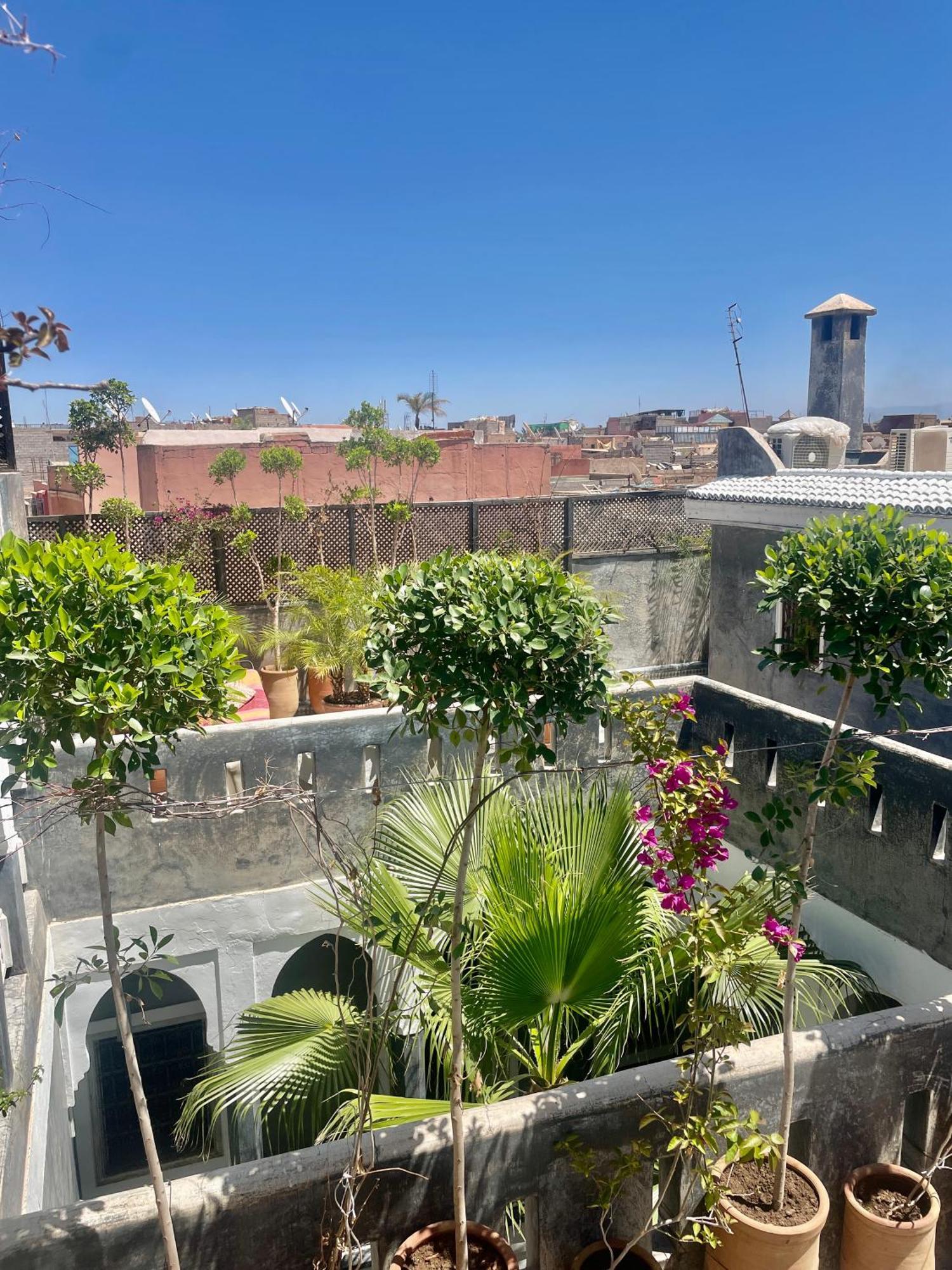Riad Green Palm マラケシュ エクステリア 写真